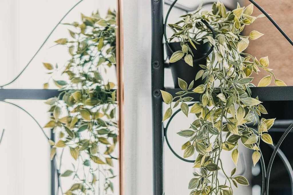Estudio Pride Τορρεμολίνος Εξωτερικό φωτογραφία